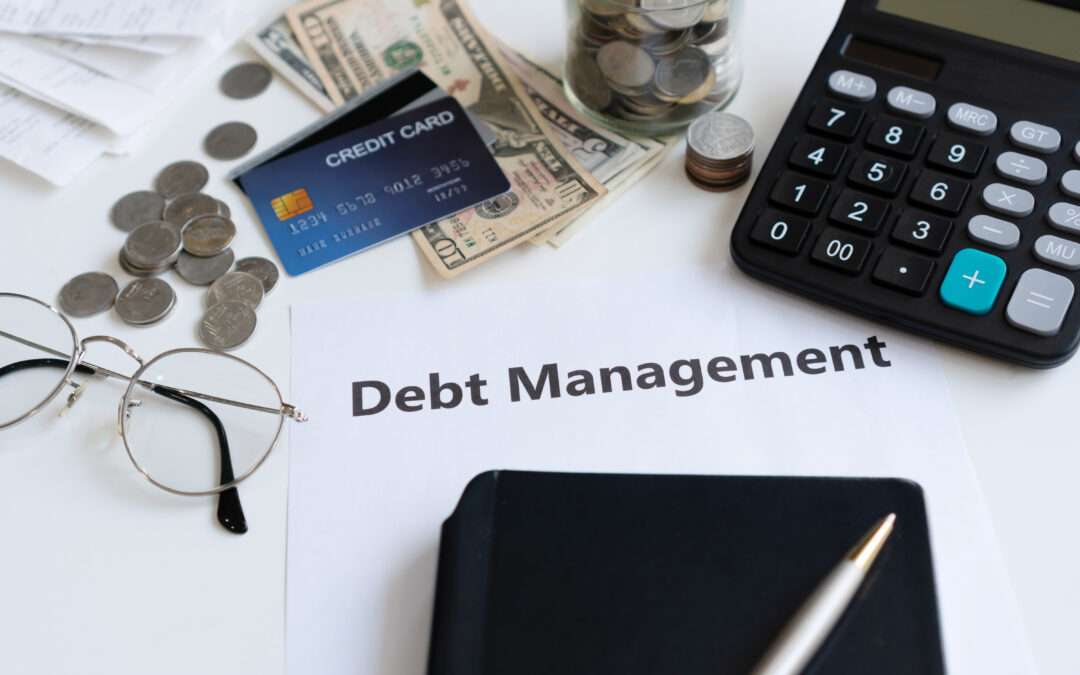 Debt Management and Collections System: Detailed Overview
